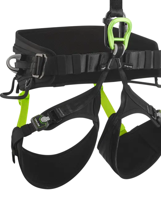 ED Harness Vector X Abseil/Arborist Harness